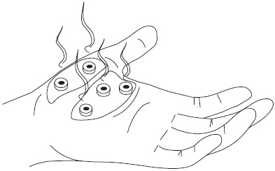 Иллюстрация к книге — Су-Джок. Самодиагностика и лечение [Autogen_eBook_id41.jpg]