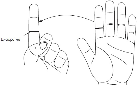 Иллюстрация к книге — Су-Джок. Самодиагностика и лечение [Autogen_eBook_id46.jpg]