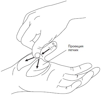 Иллюстрация к книге — Су-Джок. Самодиагностика и лечение [Autogen_eBook_id48.jpg]
