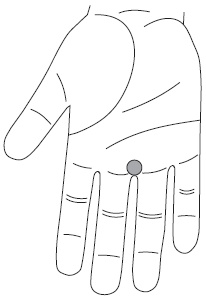 Иллюстрация к книге — Су-Джок. Самодиагностика и лечение [Autogen_eBook_id54.jpg]