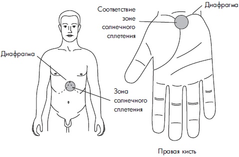 Иллюстрация к книге — Су-Джок. Самодиагностика и лечение [Autogen_eBook_id58.jpg]