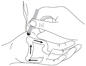 Иллюстрация к книге — Су-Джок. Самодиагностика и лечение [Autogen_eBook_id69.jpg]