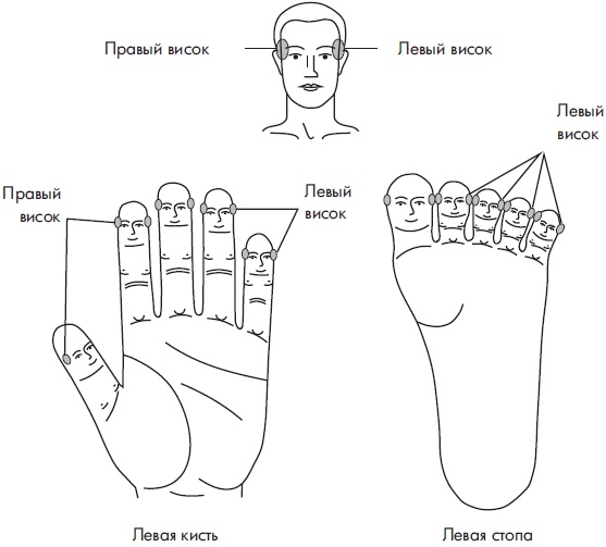Иллюстрация к книге — Су-Джок. Самодиагностика и лечение [Autogen_eBook_id7.jpg]