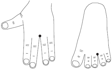 Иллюстрация к книге — Су-Джок. Самодиагностика и лечение [Autogen_eBook_id71.jpg]