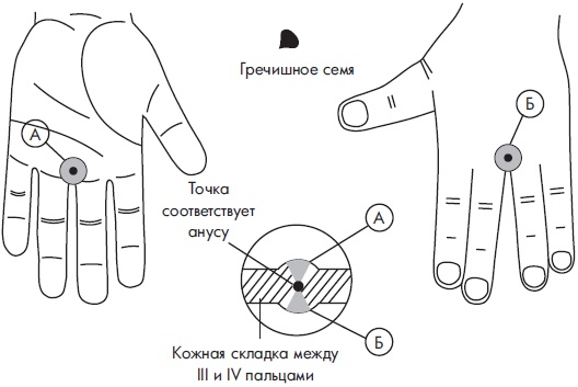 Иллюстрация к книге — Су-Джок. Самодиагностика и лечение [Autogen_eBook_id72.jpg]