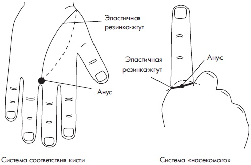 Иллюстрация к книге — Су-Джок. Самодиагностика и лечение [Autogen_eBook_id73.jpg]