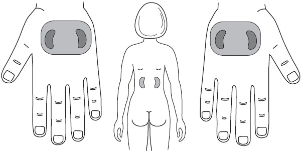 Иллюстрация к книге — Су-Джок. Самодиагностика и лечение [Autogen_eBook_id78.jpg]