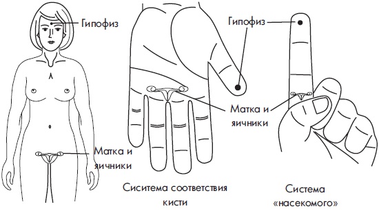 Иллюстрация к книге — Су-Джок. Самодиагностика и лечение [Autogen_eBook_id86.jpg]