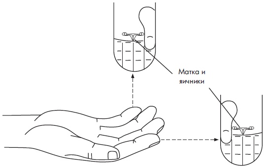 Иллюстрация к книге — Су-Джок. Самодиагностика и лечение [Autogen_eBook_id87.jpg]