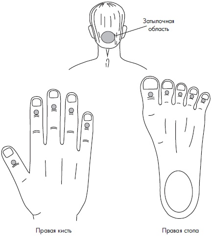 Иллюстрация к книге — Су-Джок. Самодиагностика и лечение [Autogen_eBook_id9.jpg]