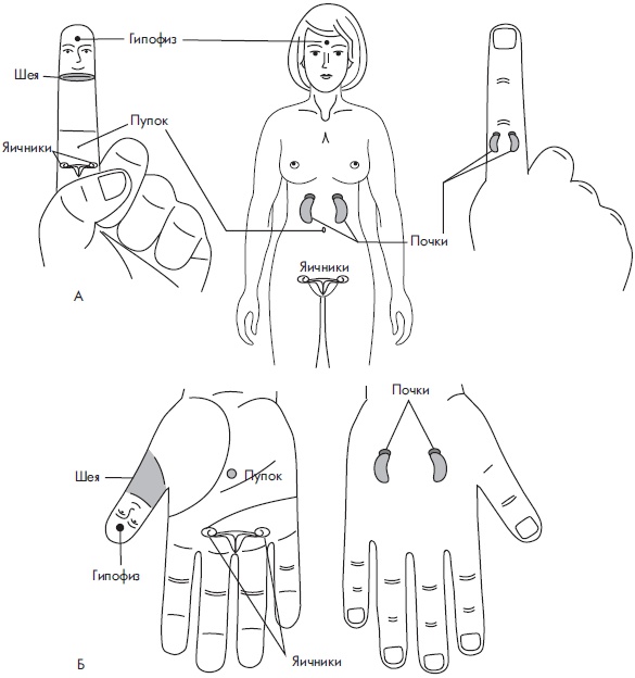 Иллюстрация к книге — Су-Джок. Самодиагностика и лечение [Autogen_eBook_id92.jpg]