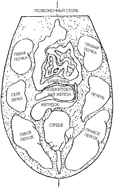 Иллюстрация к книге — Су-Джок. Самодиагностика и лечение [Autogen_eBook_id96.jpg]