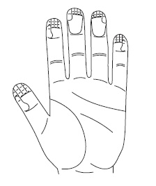 Иллюстрация к книге — Шунгит, су-джок, вода - для здоровья тех, кому за... [Autogen_eBook_id10.jpg]