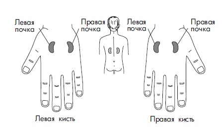Иллюстрация к книге — Шунгит, су-джок, вода - для здоровья тех, кому за... [Autogen_eBook_id101.jpg]