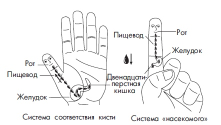 Иллюстрация к книге — Шунгит, су-джок, вода - для здоровья тех, кому за... [Autogen_eBook_id110.jpg]