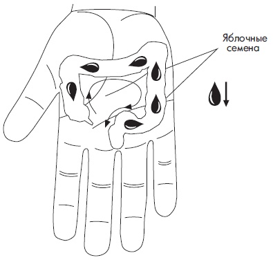 Иллюстрация к книге — Шунгит, су-джок, вода - для здоровья тех, кому за... [Autogen_eBook_id116.jpg]