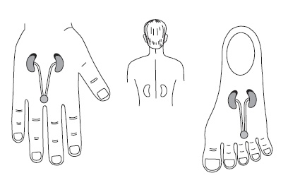 Иллюстрация к книге — Шунгит, су-джок, вода - для здоровья тех, кому за... [Autogen_eBook_id121.jpg]