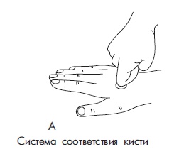Иллюстрация к книге — Шунгит, су-джок, вода - для здоровья тех, кому за... [Autogen_eBook_id122.jpg]