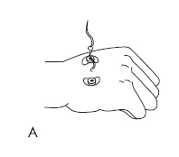 Иллюстрация к книге — Шунгит, су-джок, вода - для здоровья тех, кому за... [Autogen_eBook_id124.jpg]