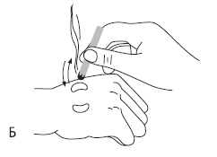 Иллюстрация к книге — Шунгит, су-джок, вода - для здоровья тех, кому за... [Autogen_eBook_id125.jpg]