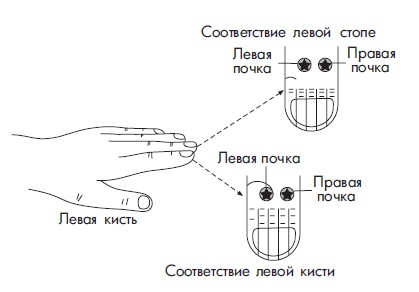 Иллюстрация к книге — Шунгит, су-джок, вода - для здоровья тех, кому за... [Autogen_eBook_id126.jpg]