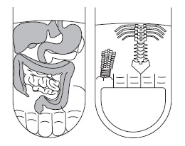 Иллюстрация к книге — Шунгит, су-джок, вода - для здоровья тех, кому за... [Autogen_eBook_id13.jpg]