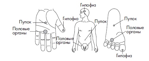 Иллюстрация к книге — Шунгит, су-джок, вода - для здоровья тех, кому за... [Autogen_eBook_id134.jpg]
