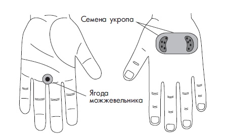 Иллюстрация к книге — Шунгит, су-джок, вода - для здоровья тех, кому за... [Autogen_eBook_id136.jpg]