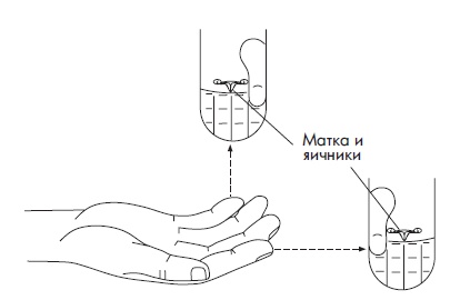 Иллюстрация к книге — Шунгит, су-джок, вода - для здоровья тех, кому за... [Autogen_eBook_id139.jpg]