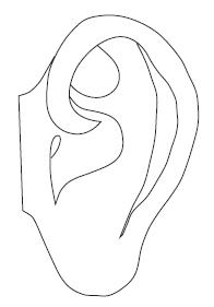 Иллюстрация к книге — Шунгит, су-джок, вода - для здоровья тех, кому за... [Autogen_eBook_id143.jpg]