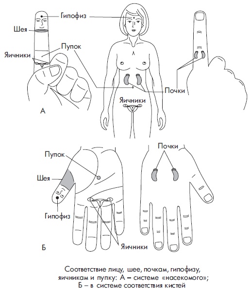 Иллюстрация к книге — Шунгит, су-джок, вода - для здоровья тех, кому за... [Autogen_eBook_id146.jpg]