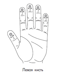 Иллюстрация к книге — Шунгит, су-джок, вода - для здоровья тех, кому за... [Autogen_eBook_id15.jpg]