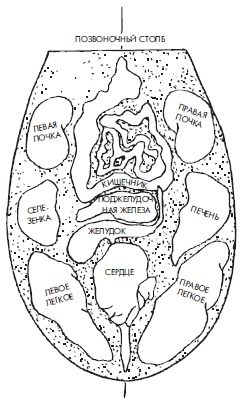 Иллюстрация к книге — Шунгит, су-джок, вода - для здоровья тех, кому за... [Autogen_eBook_id151.jpg]
