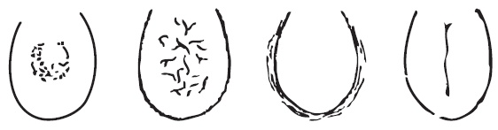 Иллюстрация к книге — Шунгит, су-джок, вода - для здоровья тех, кому за... [Autogen_eBook_id152.jpg]