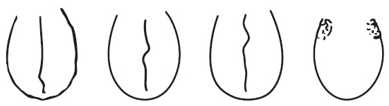 Иллюстрация к книге — Шунгит, су-джок, вода - для здоровья тех, кому за... [Autogen_eBook_id153.jpg]