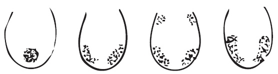 Иллюстрация к книге — Шунгит, су-джок, вода - для здоровья тех, кому за... [Autogen_eBook_id154.jpg]