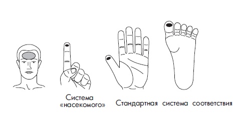 Иллюстрация к книге — Шунгит, су-джок, вода - для здоровья тех, кому за... [Autogen_eBook_id157.jpg]