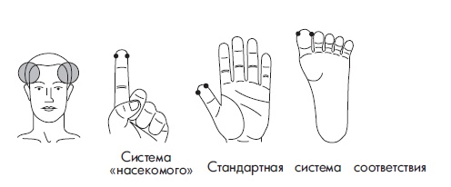 Иллюстрация к книге — Шунгит, су-джок, вода - для здоровья тех, кому за... [Autogen_eBook_id158.jpg]
