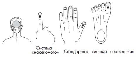 Иллюстрация к книге — Шунгит, су-джок, вода - для здоровья тех, кому за... [Autogen_eBook_id159.jpg]