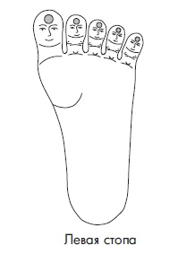 Иллюстрация к книге — Шунгит, су-джок, вода - для здоровья тех, кому за... [Autogen_eBook_id16.jpg]