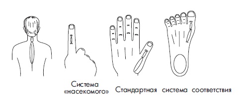 Иллюстрация к книге — Шунгит, су-джок, вода - для здоровья тех, кому за... [Autogen_eBook_id160.jpg]