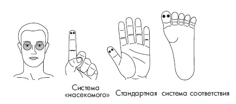 Иллюстрация к книге — Шунгит, су-джок, вода - для здоровья тех, кому за... [Autogen_eBook_id161.jpg]