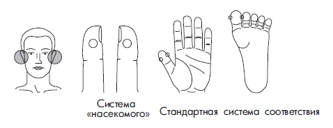Иллюстрация к книге — Шунгит, су-джок, вода - для здоровья тех, кому за... [Autogen_eBook_id163.jpg]