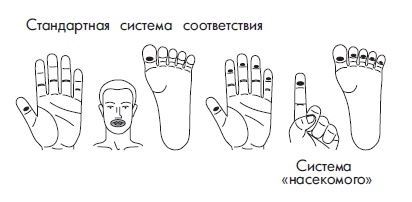 Иллюстрация к книге — Шунгит, су-джок, вода - для здоровья тех, кому за... [Autogen_eBook_id164.jpg]