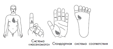 Иллюстрация к книге — Шунгит, су-джок, вода - для здоровья тех, кому за... [Autogen_eBook_id165.jpg]