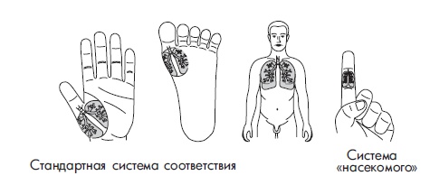 Иллюстрация к книге — Шунгит, су-джок, вода - для здоровья тех, кому за... [Autogen_eBook_id166.jpg]