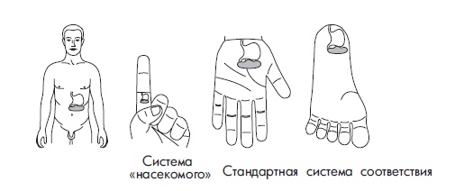 Иллюстрация к книге — Шунгит, су-джок, вода - для здоровья тех, кому за... [Autogen_eBook_id169.jpg]