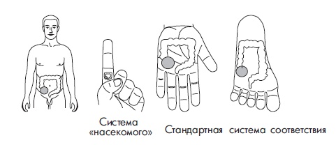 Иллюстрация к книге — Шунгит, су-джок, вода - для здоровья тех, кому за... [Autogen_eBook_id170.jpg]
