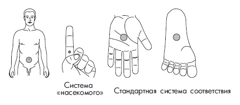 Иллюстрация к книге — Шунгит, су-джок, вода - для здоровья тех, кому за... [Autogen_eBook_id171.jpg]