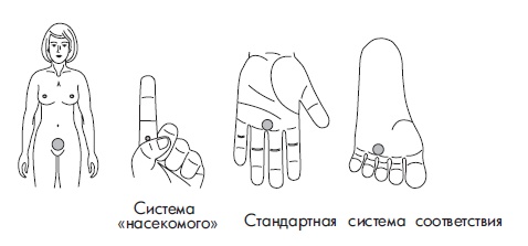 Иллюстрация к книге — Шунгит, су-джок, вода - для здоровья тех, кому за... [Autogen_eBook_id172.jpg]